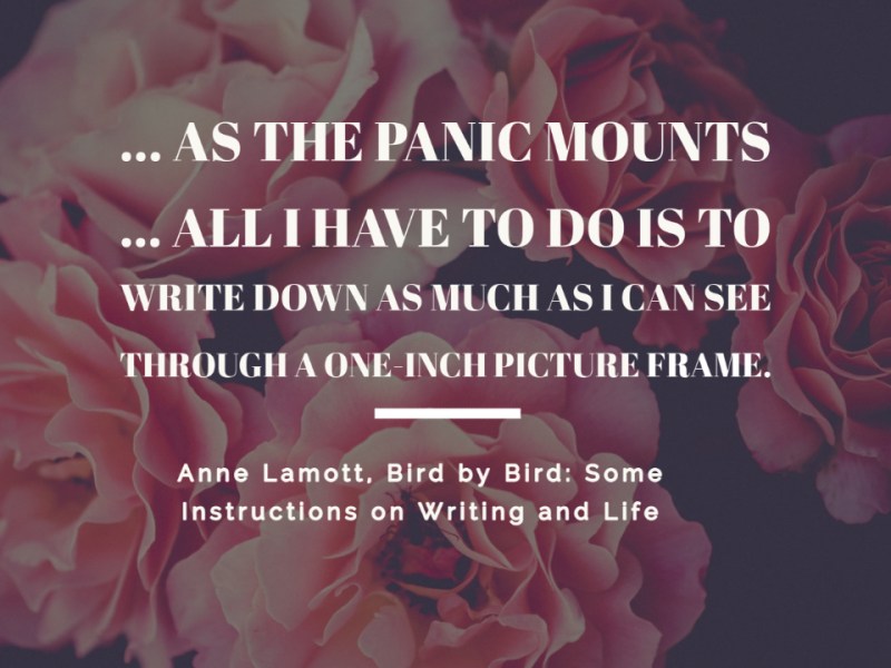 A Cure for a Case of the Mondays: Thoughts on Writing &&nbsp;Life