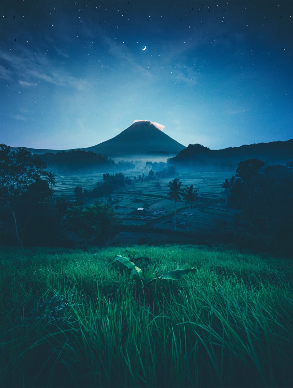 A serene view of a volcano in the background under a starry sky, with a crescent moon visible. In the foreground, there are lush green rice fields and a small plant.